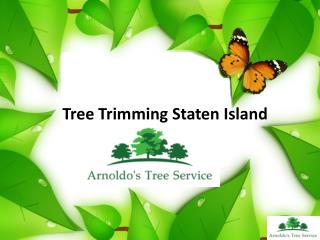 Tree Trimming Staten Island