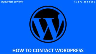 How To Contact WordPress Support