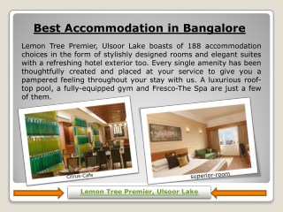 Best accommodation in Bangalore ulsoor lake