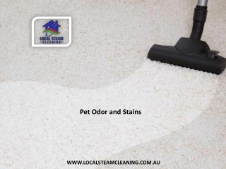 Pet Odor and Stains