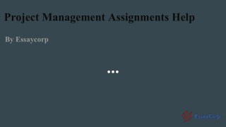 Project Management Assignment Help