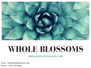 Get the most exquisite range of flowers at WholeBlossoms