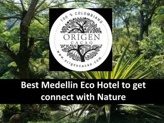 Best Medellin Eco Hotel to get connect with Nature