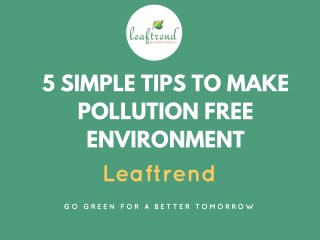 5 Simple Tips To Make Pollution Free Environment - Leaftrend