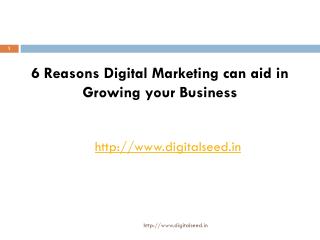 6 Reasons Digital Marketing can aid in Growing your Business â€“ Digitalseed | Digital Marketing Agency In Pune.