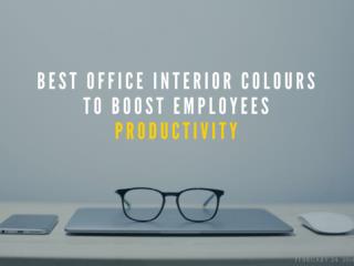 Best Office Interior Colours To Boost Employees Productivity | Newton InEx