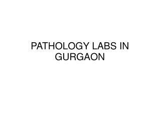 Uric Acid Test in Gurgaon