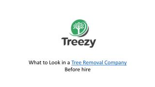 What to look in a Tree Removal Company before Hire