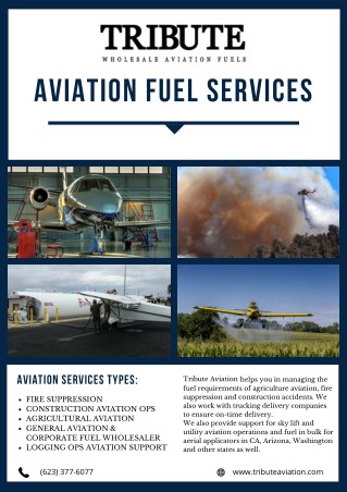 Aviation Fuel Services