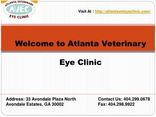 Veterinary ophthalmologist Atlanta