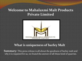 Barley malt powder and Barley Malt Grain - Mahalaxmimaltextract