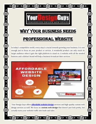 Why Your Business Needs Professional Website