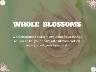 Wide Range of Flowers suited for your occasions from wholeblossoms