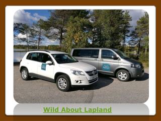 Wild About Lapland