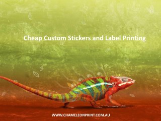 Cheap Custom Stickers and Label Printing - Chameleon Print Group