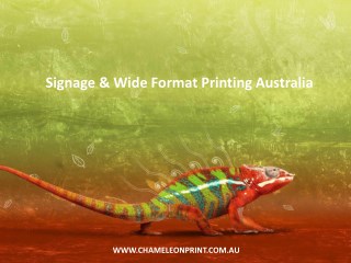 Signage & Wide Format Printing Australia - Chameleon Print Group
