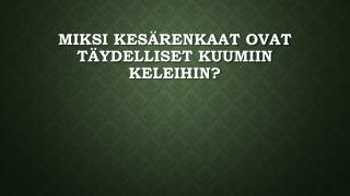 Miksi kesÃ¤renkaat ovat tÃ¤ydelliset kuumiin keleihin?