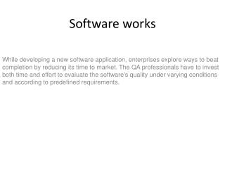 software works