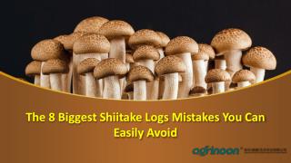 The 8 Biggest Shiitake Logs Mistakes You Can Easily Avoid