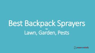 Best Backpack Sprayers for Lawn, Garden, Pests