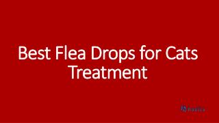 Best Flea Drops for Cats Treatment