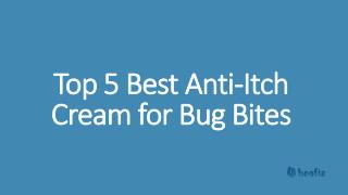 Top 5 Best Anti-Itch Cream for Bug Bites