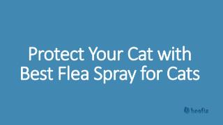 Protect Your Cat with Best Flea Spray for Cats