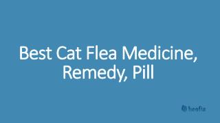 Best Cat Flea Medicine, Remedy, Pill