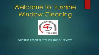 Home Window Cleaning Service