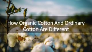 How Organic Cotton And Ordinary Cotton Are Different