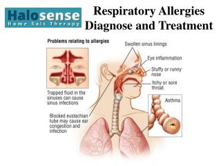 Respiratory Allergies-Diagnose and Treatment