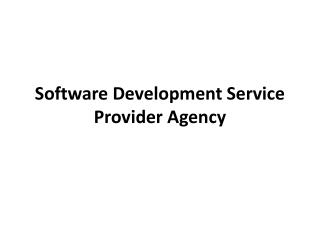 Software Development Agency