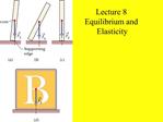 Lecture 8 Equilibrium and Elasticity