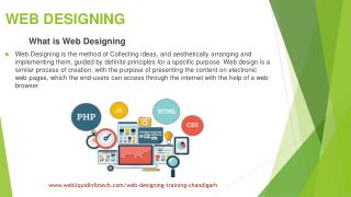 web designing training in chandigarh