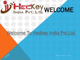 Website Designing Company in Delhi | India- Hedkey India