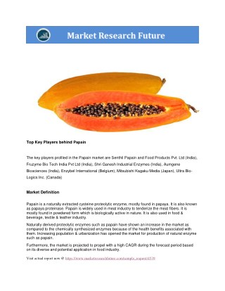 Papain Market report