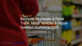 Bermuda Wholesale & Retail Trade, Motor Vehicles & Repair Services Markets to 2025