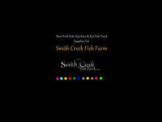 Smith Creek Fish Farm New York Fish Hatchery & Koi Fish Pond Supplies
