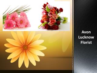 Lucknow Florist