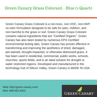 Green Canary Grass Colorant - Blue (1 Quart)