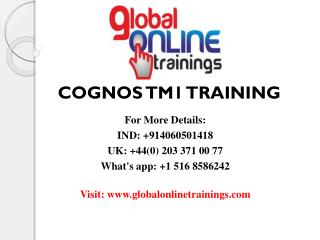 Cognos TM1 Training | IBM Cognos TM1 Online Training - Global Online<