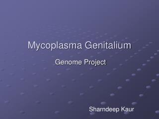 Mycoplasma Genitalium