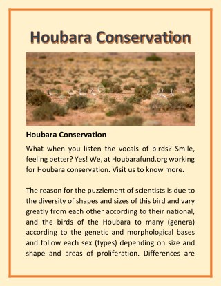Houbara Conservation