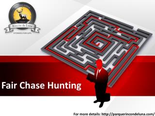 Fair Chase Hunting