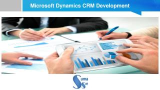 Microsoft Dynamics CRM Development