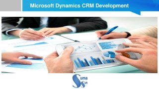 Microsoft Dynamics CRM Development