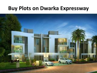 plots on dwarka expressway
