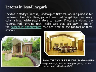 Resorts in Bandhavgarh