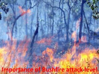 Importance of Bushfire attack level