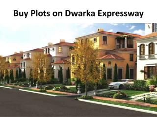 Plot in Dwarka Expressway